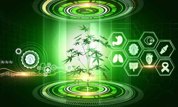 Cannabis vs The Metaverse. How Cannabis Culture could play out in the Metaverse